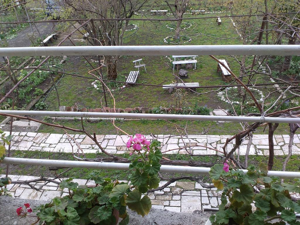 Holiday Home Ekaterine Telawi Zewnętrze zdjęcie