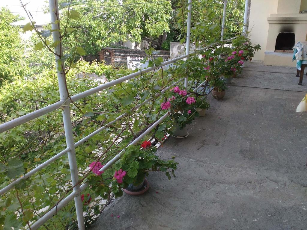 Holiday Home Ekaterine Telawi Zewnętrze zdjęcie