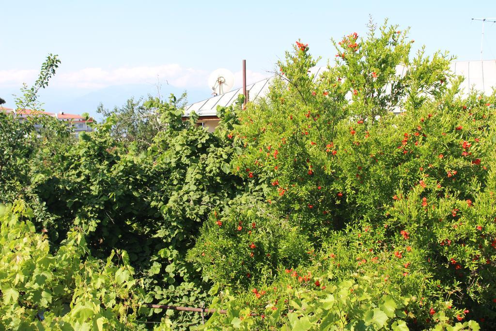 Holiday Home Ekaterine Telawi Zewnętrze zdjęcie