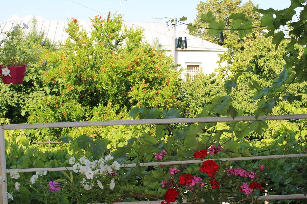 Holiday Home Ekaterine Telawi Zewnętrze zdjęcie