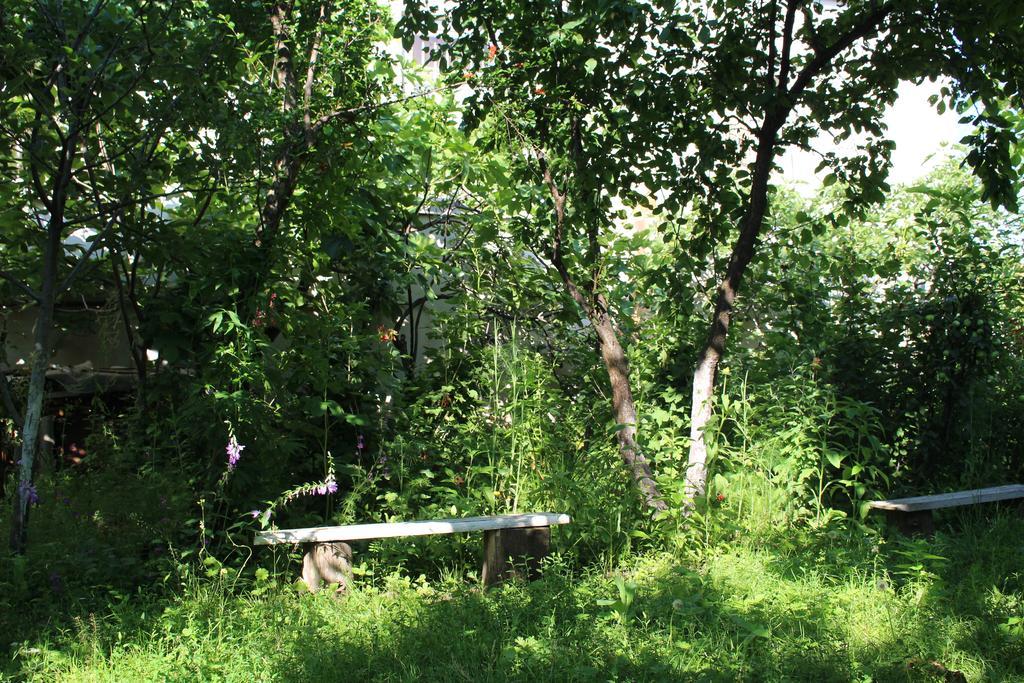 Holiday Home Ekaterine Telawi Zewnętrze zdjęcie