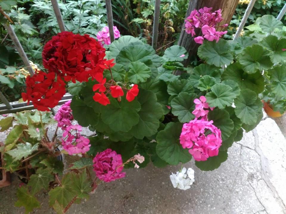 Holiday Home Ekaterine Telawi Zewnętrze zdjęcie